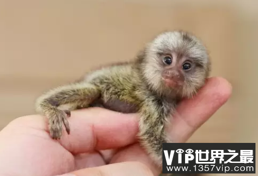 微信截图_20200401111937.png