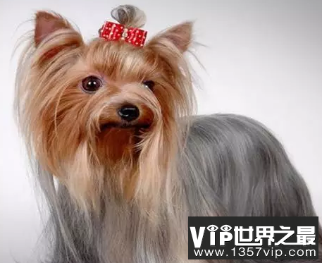 微信截图_20200106102307.png
