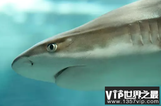 微信截图_20200401111937.png