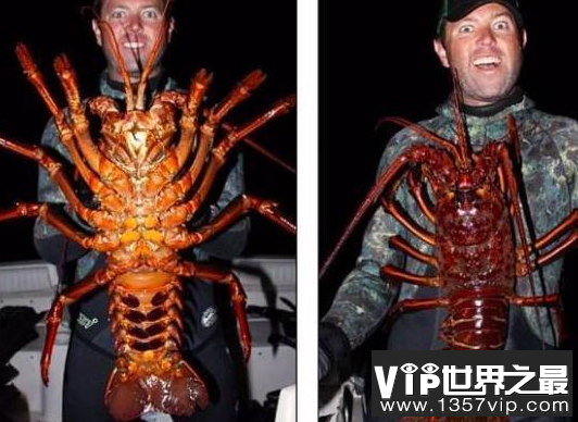 微信截图_20200106102307.png