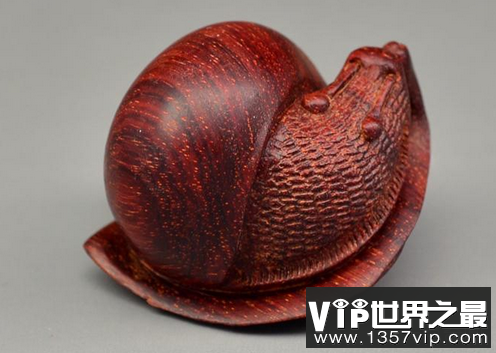 世界上最美丽的海螺壳形状是独一无二的