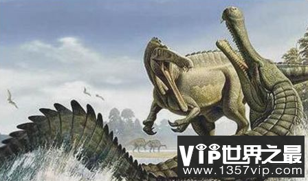 历史上最大的鳄鱼皇帝鳄鱼身长超过10米,但不能撕碎猎物
