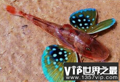 微信截图_20200205094912.png