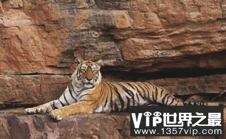 微信截图_20200205094912.png