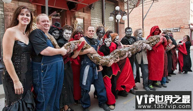 世界上最长的蛇Meidusa长7.67米