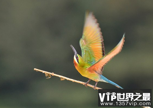 微信截图_20200205094912.png