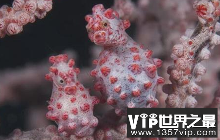 微信截图_20200205094912.png
