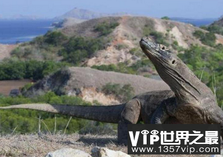 微信截图_20200205094912.png