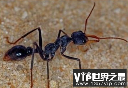 微信截图_20200205094912.png