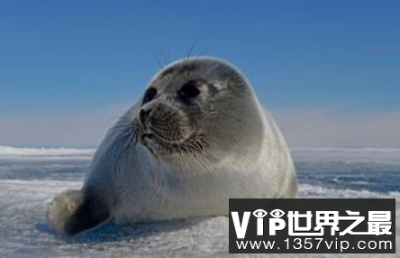 微信截图_20200205094912.png