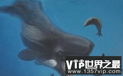 历史上最凶猛的鲸鱼利维坦可以吃须鲸
