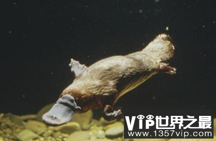 微信截图_20200205094912.png
