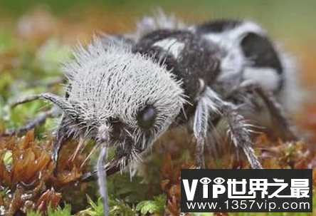 微信截图_20200205094912.png