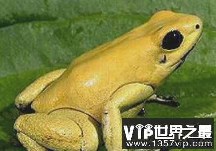 微信截图_20200205094912.png