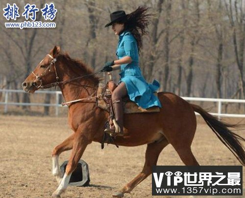 盘点十种陆地速度最快的动物，猎豹第一时速可达125公里