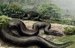 江苏射阳巨蛇事件是真是假 据说有三十米长