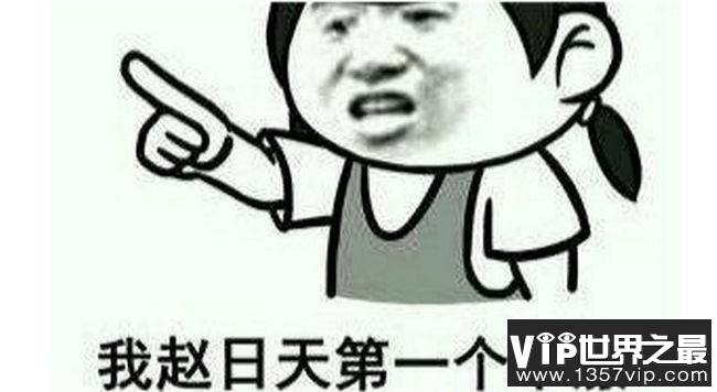  赵日天