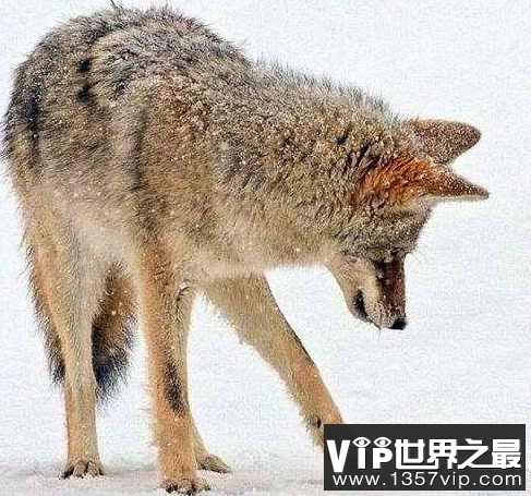 QQ截图20190814205023.png