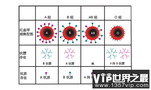 RH阴性血的女性可以生育出健康的孩子吗?