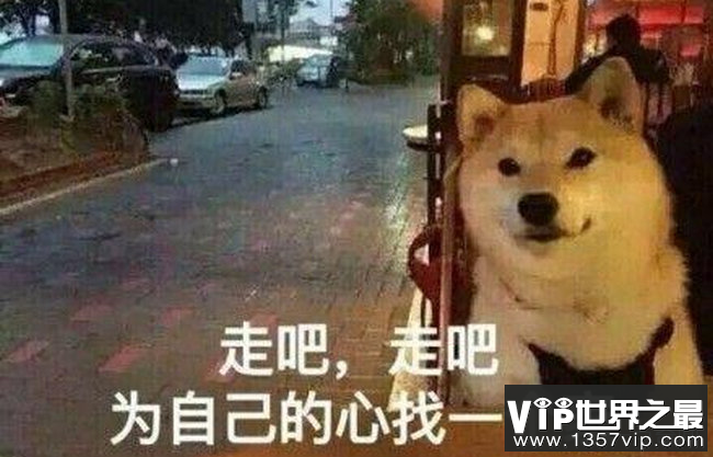 单身狗这次表示不羡慕了
