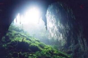 世界上最恐怖的洞穴，印尼爪哇谷洞并不存在(印尼高官辟谣)