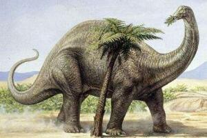地球史上最大的恐龙，易碎双腔龙体重比蓝鲸还要大(长达35米)
