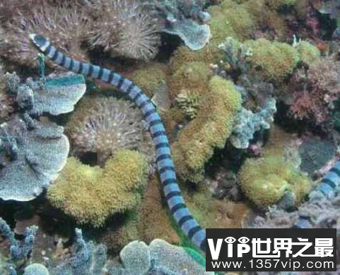 微信截图_20200106102307.png