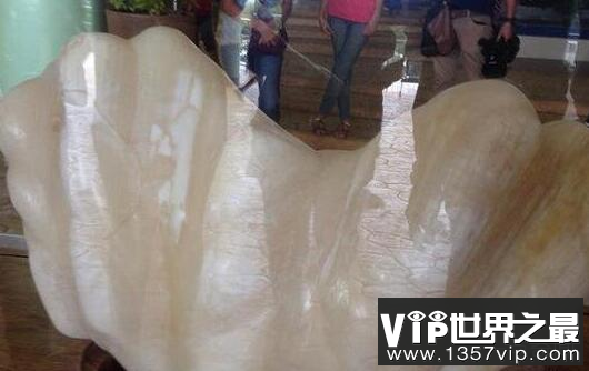世界上最大的珍珠
