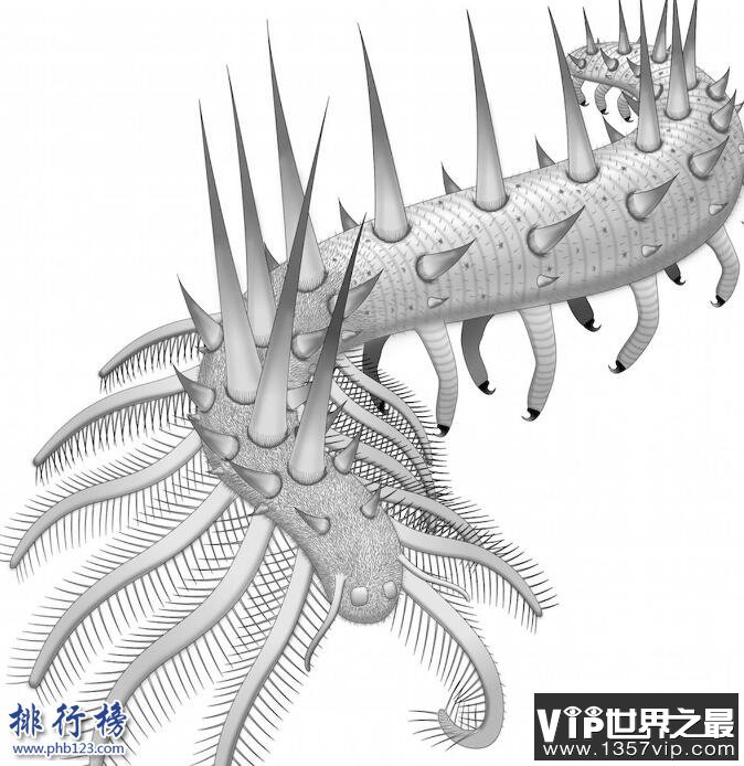 寒武纪十大恐怖生物：奇虾成地球霸主 恐龙是它晚辈