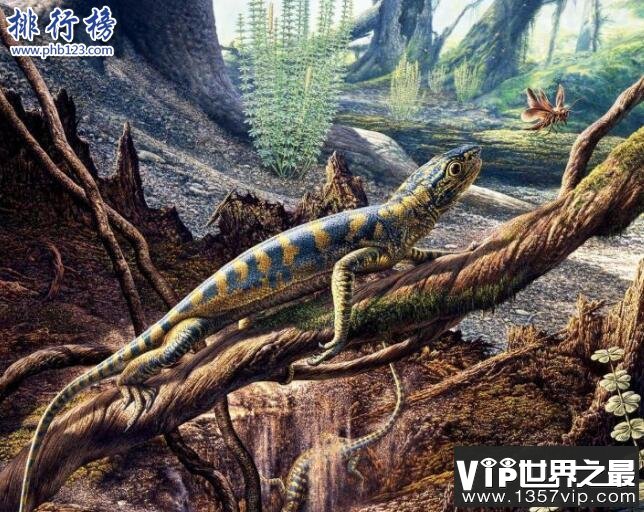 石炭纪十大恐怖生物 揭晓石炭纪生物大灭绝真相