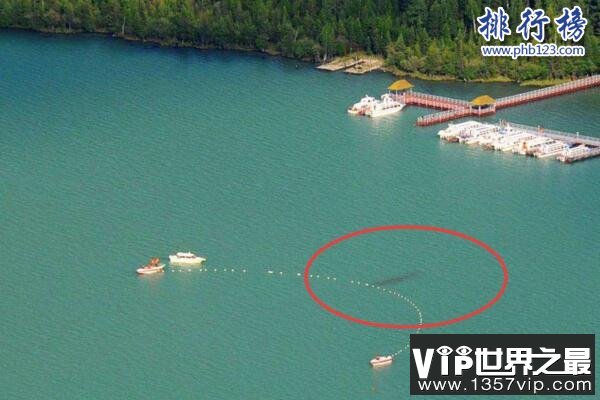 新疆喀纳斯湖水怪之谜真相大白,疑似15米32吨的巨型哲罗鲑(视频)