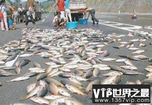 史上最诡异的天气，空中降鱼是真实的自然现象