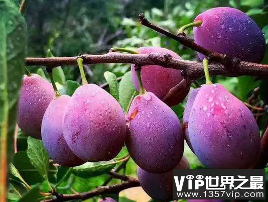 微信截图_20200401111937.png
