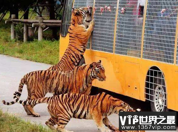 微信截图_20200106102307.png