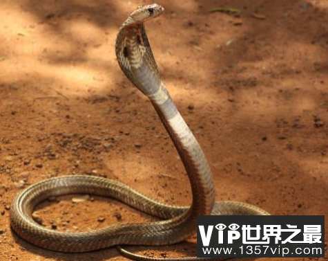 微信截图_20200106102307.png