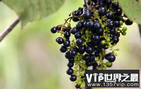 微信截图_20200106102307.png