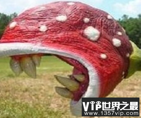 微信截图_20200401111937.png