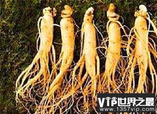 微信截图_20200106102307.png