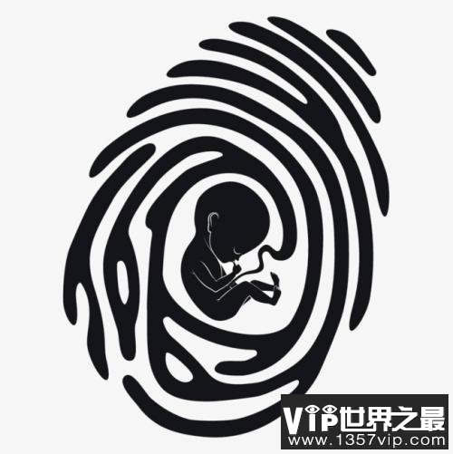 胎儿也有指纹吗