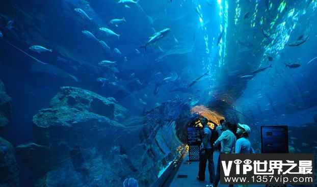 世界十大水族馆在上海海洋水族馆排名第三