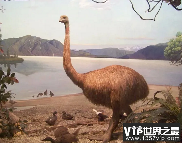 微信截图_20200401111937.png