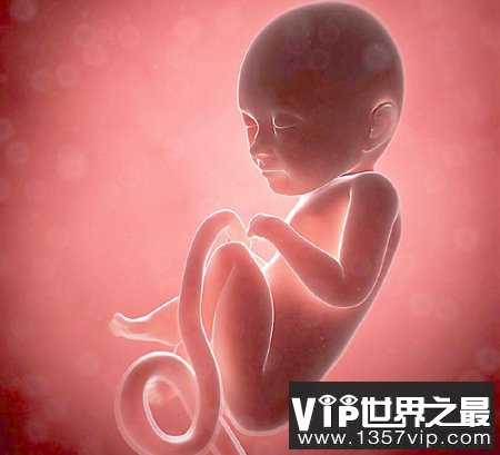 胎儿为何不会在羊水中溺亡