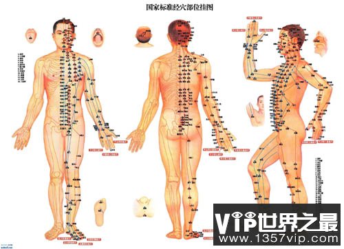 人体中的108个要害穴位都在哪里