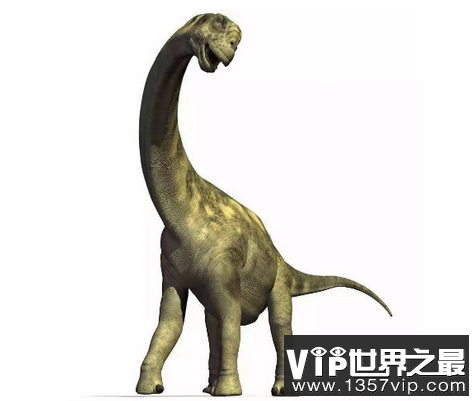 世界上最大的恐龙 高度达35米