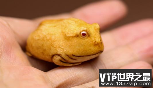 世界上最小的动物是什么？世界上最小的动物排行榜