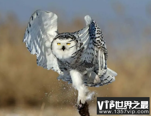 微信截图_20200106102307.png