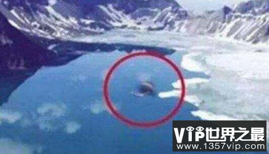 青海湖水怪之谜，体长超14米形似恐龙