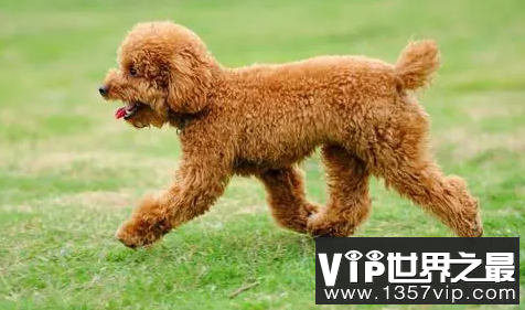 微信截图_20200106102307.png