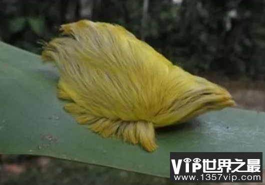 微信截图_20200106102307.png