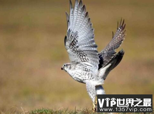 微信截图_20200106102307.png